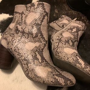 snakeskin booties